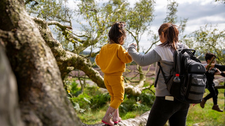 A child walking along a fallen tree holding an adult's hand with another child playing on a tree in the background